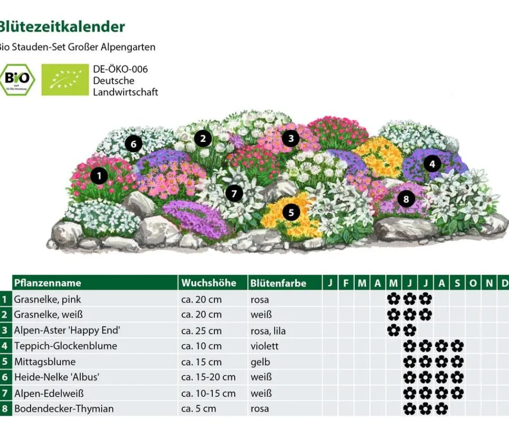 Dehner Bio Gräser- & Stauden-Sets|Sommerstauden > Bio Stauden-Set Großer Alpengarten, 24-teilig