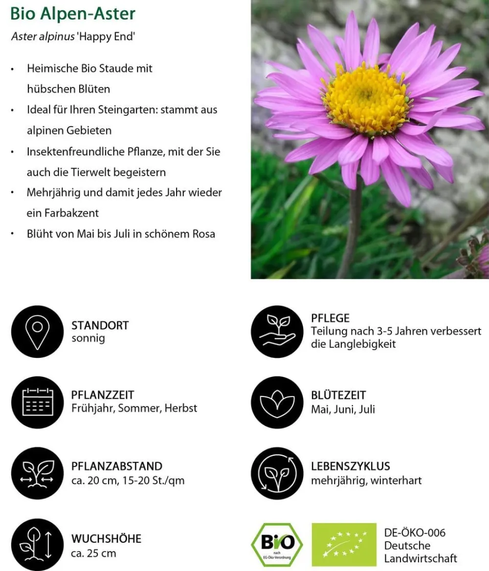 Dehner Bio Gräser- & Stauden-Sets|Sommerstauden > Bio Stauden-Set Großer Alpengarten, 24-teilig