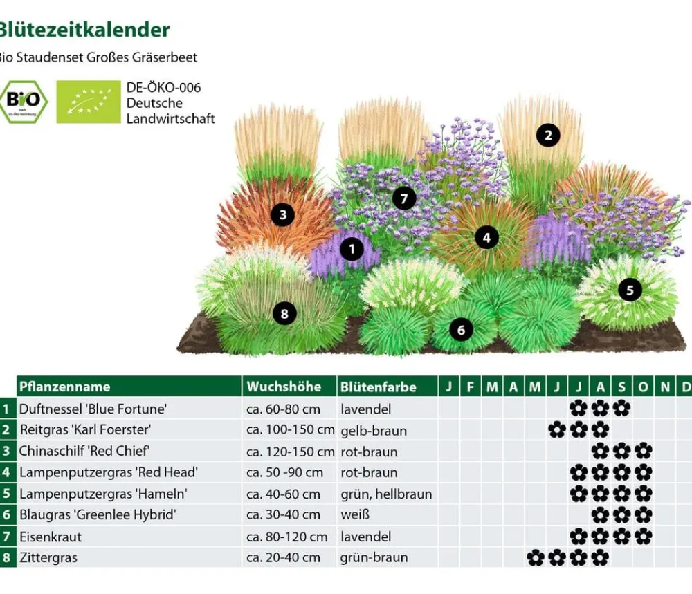 Dehner Bio Bio Stauden|Gräser- & Stauden-Sets > Bio Stauden-Set Großes Gräser-Beet, 24-teilig