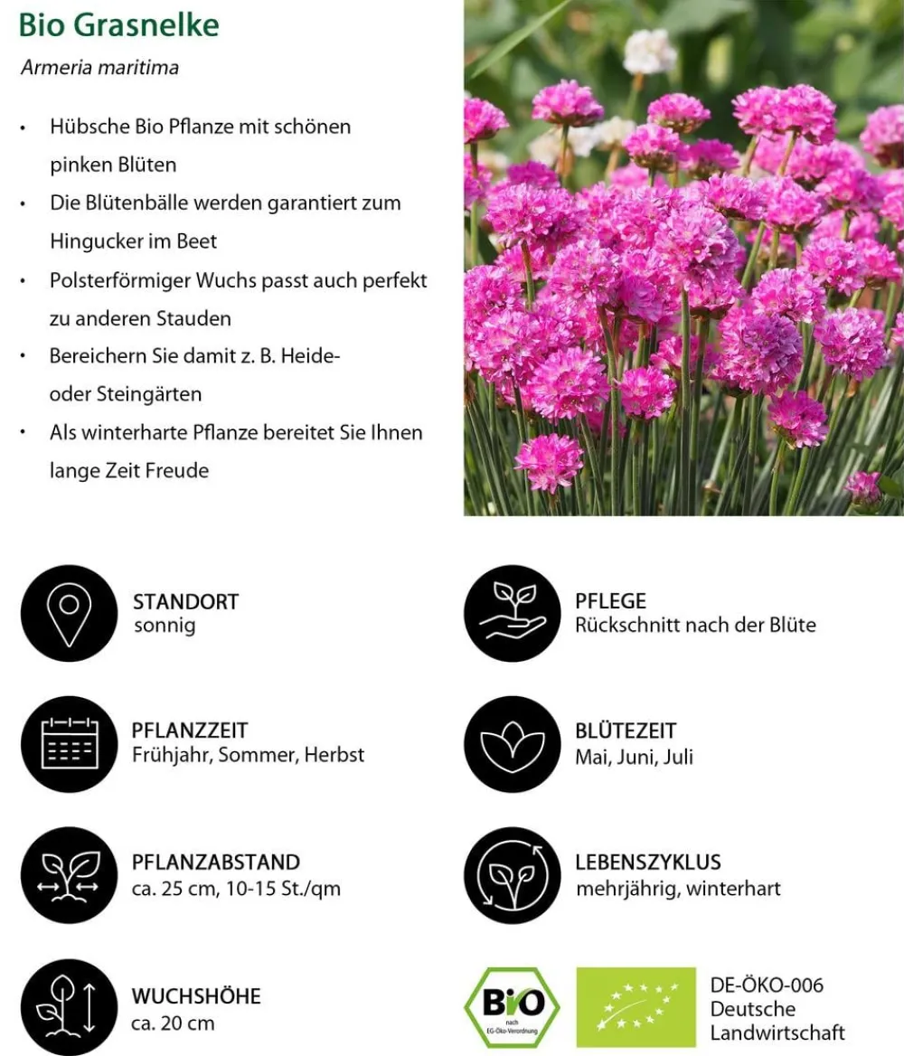 Dehner Bio Bio Stauden-Set Heimatgarten, Landlust Kollektion, 24-teilig New
