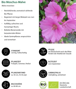 Dehner Bio Bio Stauden-Set Heimatgarten, Landlust Kollektion, 24-teilig New