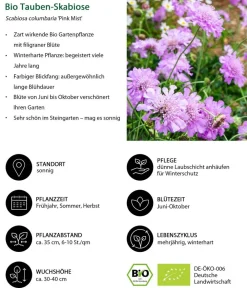 Dehner Bio Bio Stauden-Set Heimatgarten, Landlust Kollektion, 24-teilig New