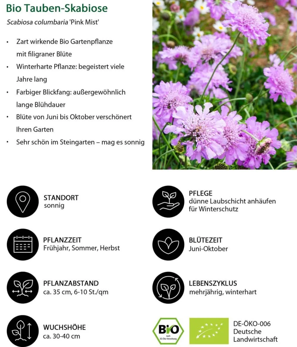 Dehner Bio Bio Stauden-Set Heimatgarten, Landlust Kollektion, 24-teilig New