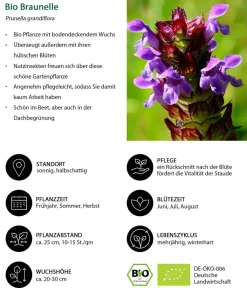 Dehner Bio Bio Stauden-Set Heimatgarten, Landlust Kollektion, 24-teilig New