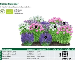 Dehner Bio Bio Stauden-Set Insektenparadies Schmetterling, 12-teilig Outlet
