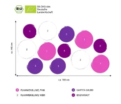 Dehner Bio Bio Stauden-Set Insektenparadies Schmetterling, 12-teilig Outlet