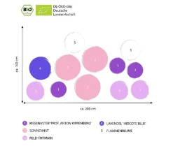 Dehner Bio Sommerstauden|Bio Stauden - Bio Stauden-Set Insektenparadies Biene, 12-teilig