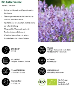 Dehner Bio Bio Stauden|Gräser- & Stauden-Sets > Bio Stauden-Set Lange Blüte, Landlust Kollektion, 18-teilig