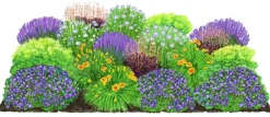 Dehner Bio Bio Stauden|Gräser- & Stauden-Sets > Bio Stauden-Set Lange Blüte, Landlust Kollektion, 18-teilig