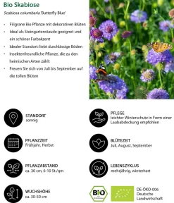 Dehner Bio Bio Stauden|Gräser- & Stauden-Sets > Bio Stauden-Set Lange Blüte, Landlust Kollektion, 18-teilig