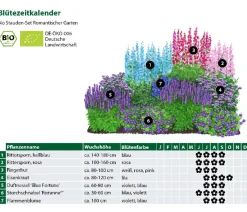 Dehner Bio Bio Stauden|Gräser- & Stauden-Sets - Bio Stauden-Set Romantischer Garten, 12-teilig