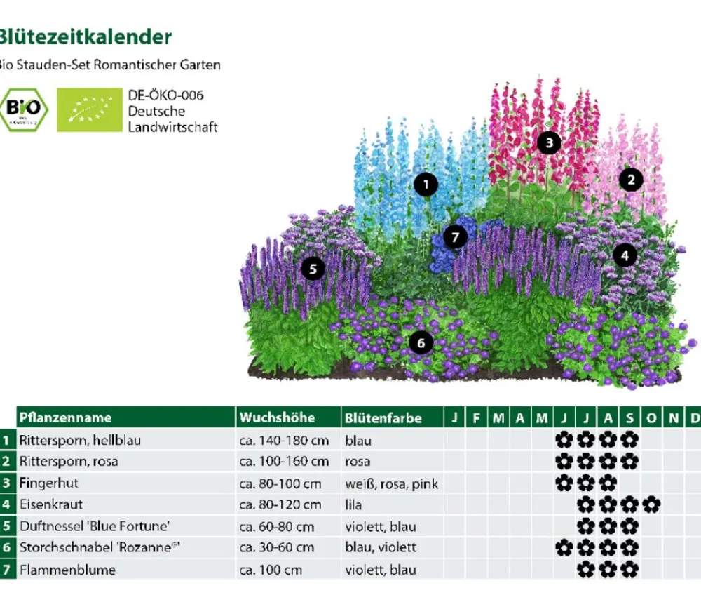 Dehner Bio Bio Stauden|Gräser- & Stauden-Sets - Bio Stauden-Set Romantischer Garten, 12-teilig