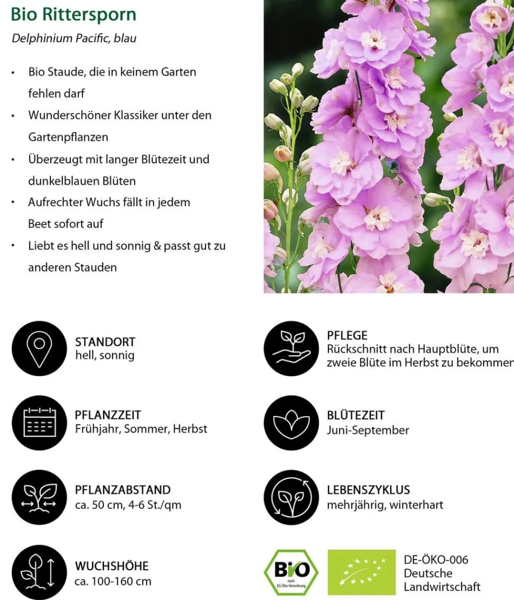 Dehner Bio Bio Stauden|Gräser- & Stauden-Sets - Bio Stauden-Set Romantischer Garten, 12-teilig