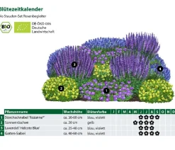 Dehner Bio Bio Stauden-Set Rosenbegleiter, 12-teilig Outlet