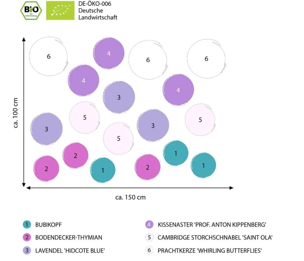 Dehner Bio Bio Stauden|Gräser- & Stauden-Sets > Bio Stauden-Set Rosenfreunde, Landlust Kollektion, 18-teilig