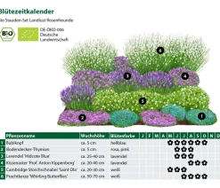 Dehner Bio Bio Stauden|Gräser- & Stauden-Sets > Bio Stauden-Set Rosenfreunde, Landlust Kollektion, 18-teilig