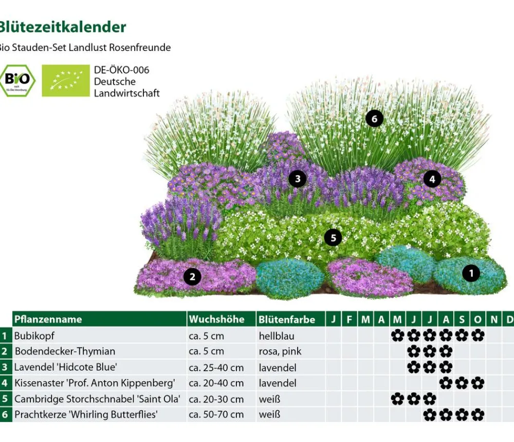 Dehner Bio Bio Stauden|Gräser- & Stauden-Sets > Bio Stauden-Set Rosenfreunde, Landlust Kollektion, 18-teilig