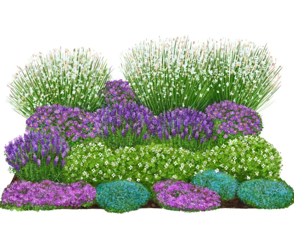Dehner Bio Bio Stauden|Gräser- & Stauden-Sets > Bio Stauden-Set Rosenfreunde, Landlust Kollektion, 18-teilig