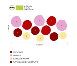 Dehner Bio Bio Stauden|Gräser- & Stauden-Sets - Bio Stauden-Set Schattengarten e Akzente, 12-teilig