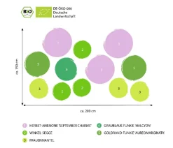 Dehner Bio Gräser- & Stauden-Sets|Blatt- & Schattenstauden - Bio Stauden-Set Schattengarten, 12-teilig Bunt
