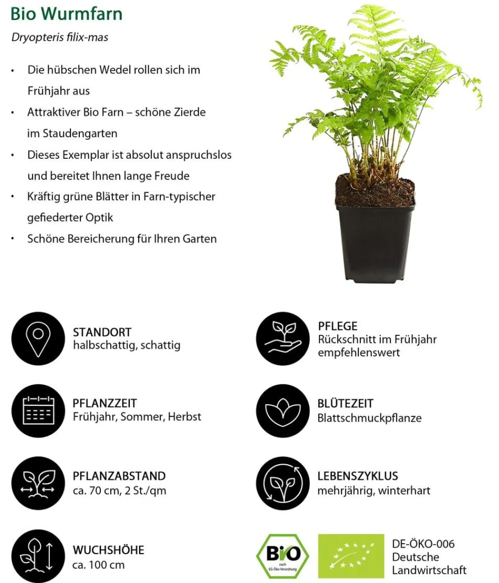 Dehner Bio Bio Stauden|Gräser- & Stauden-Sets - Bio Stauden-Set Schattenparadies, 18-teilig