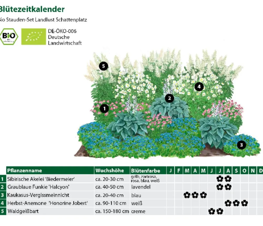 Dehner Bio Bio Stauden|Gräser- & Stauden-Sets - Bio Stauden-Set Schattenplatz, Landlust Kollektion, 18-teilig