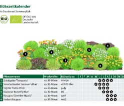 Dehner Bio Bio Stauden|Gräser- & Stauden-Sets - Bio Stauden-Set Sommerglück, 24-teilig