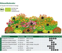 Dehner Bio Bio Stauden-Set Sommer in , 24-teilig Discount