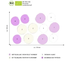 Dehner Bio Bio Stauden|Gräser- & Stauden-Sets - Bio Stauden-Set Sonnenteppich, 12-teilig