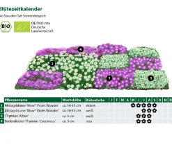 Dehner Bio Bio Stauden|Gräser- & Stauden-Sets - Bio Stauden-Set Sonnenteppich, 12-teilig
