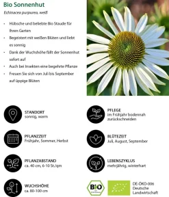 Dehner Bio Bio Stauden|Gräser- & Stauden-Sets - Bio Stauden-Set Sonnenzeit, Landlust Kollektion, 18-teilig