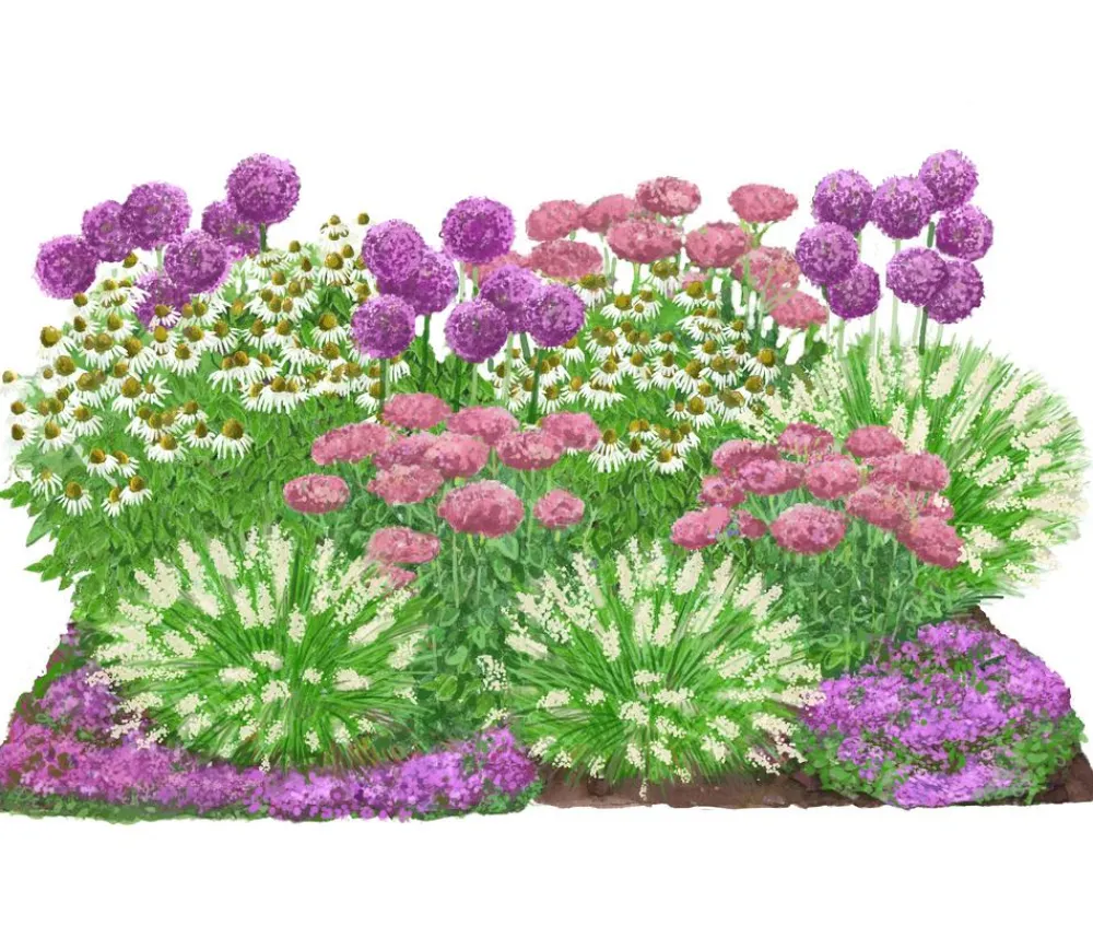 Dehner Bio Bio Stauden|Gräser- & Stauden-Sets - Bio Stauden-Set Sonnenzeit, Landlust Kollektion, 18-teilig