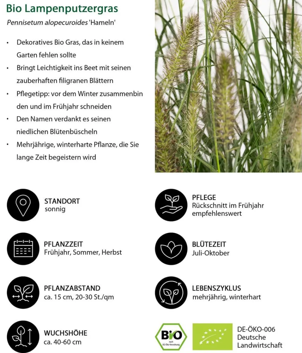 Dehner Bio Bio Stauden|Gräser- & Stauden-Sets - Bio Stauden-Set Sonnenzeit, Landlust Kollektion, 18-teilig