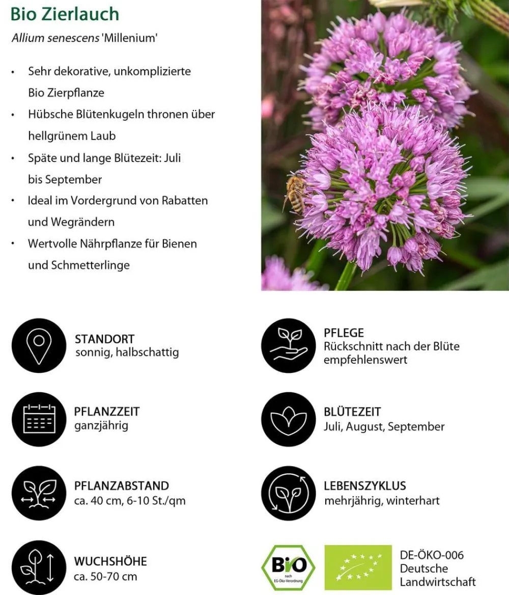 Dehner Bio Bio Stauden|Gräser- & Stauden-Sets - Bio Stauden-Set Sonnenzeit, Landlust Kollektion, 18-teilig