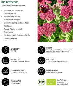 Dehner Bio Bio Stauden|Gräser- & Stauden-Sets - Bio Stauden-Set Sonnenzeit, Landlust Kollektion, 18-teilig