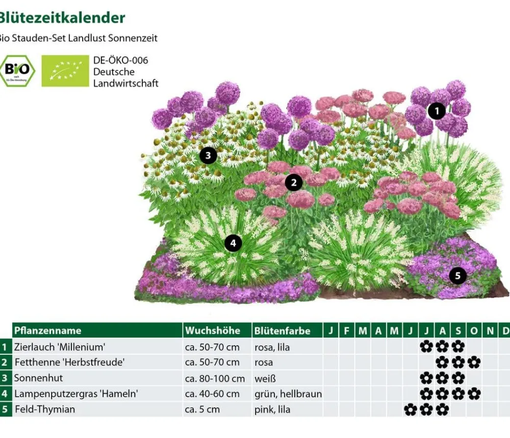 Dehner Bio Bio Stauden|Gräser- & Stauden-Sets - Bio Stauden-Set Sonnenzeit, Landlust Kollektion, 18-teilig
