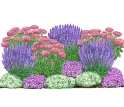 Dehner Bio Bio Stauden|Gräser- & Stauden-Sets > Bio Stauden-Set Terrassenglück, Landlust Kollektion, 12-teilig