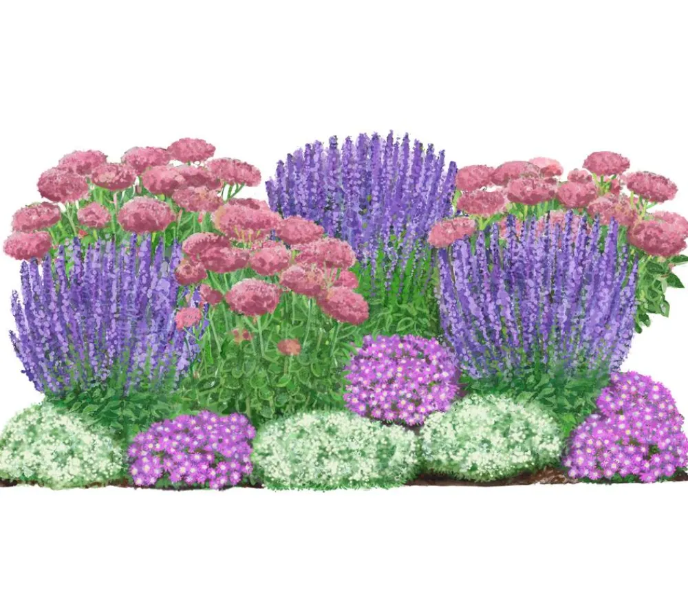 Dehner Bio Bio Stauden|Gräser- & Stauden-Sets > Bio Stauden-Set Terrassenglück, Landlust Kollektion, 12-teilig