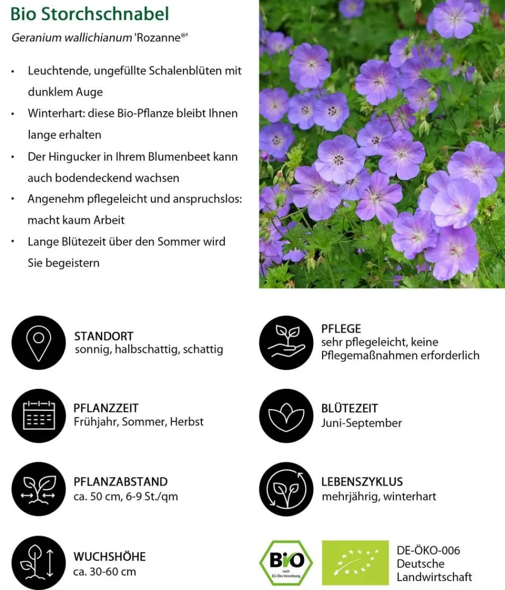 Dehner Bio Bio Stauden-Set -es Gartenparadies, 24-teilig
