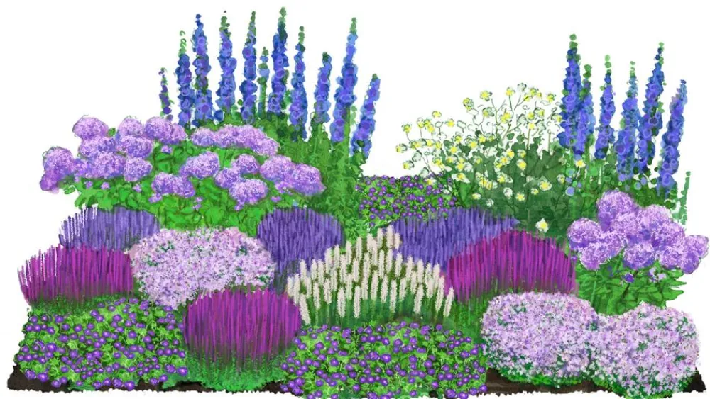 Dehner Bio Bio Stauden-Set -es Gartenparadies, 24-teilig