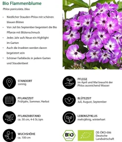 Dehner Bio Bio Stauden-Set -es Gartenparadies, 24-teilig