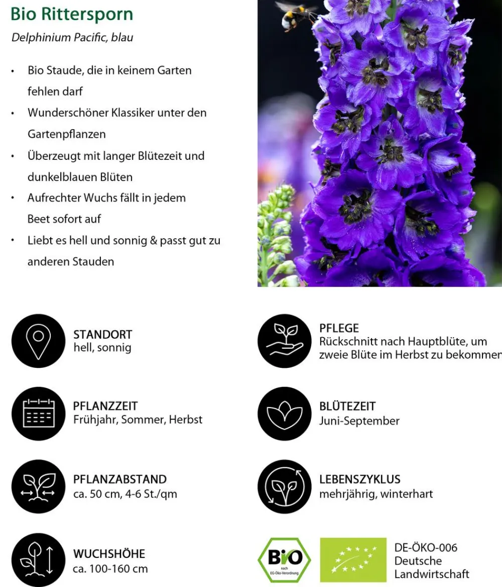 Dehner Bio Bio Stauden-Set -es Gartenparadies, 24-teilig