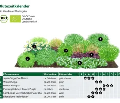 Dehner Bio Bio Stauden|Gräser- & Stauden-Sets - Bio Stauden-Set Winter, 18-teilig