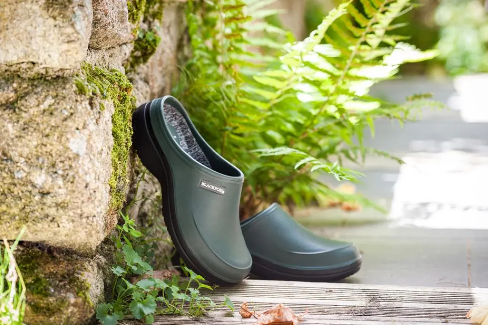 AJS Blackfox Gartenschuhe & Hausschuhe - Blackfox Clog Mellow Dunkelgrün