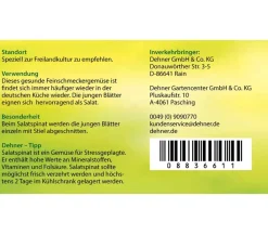 Dehner Blattspinat rot geadert, 12er Schale Discount