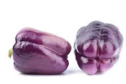 Dehner Peperoni- & Paprikapflanzen > Blockpaprika,