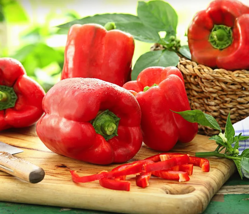 Dehner Peperoni- & Paprikapflanzen - Blockpaprika, Rot