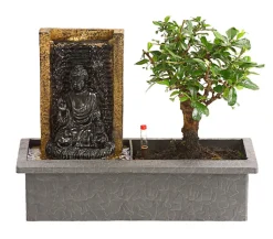 Dehner Bonsai, mit Brunnen Sale