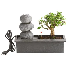 Dehner Bonsai - Bonsai, mit Brunnen