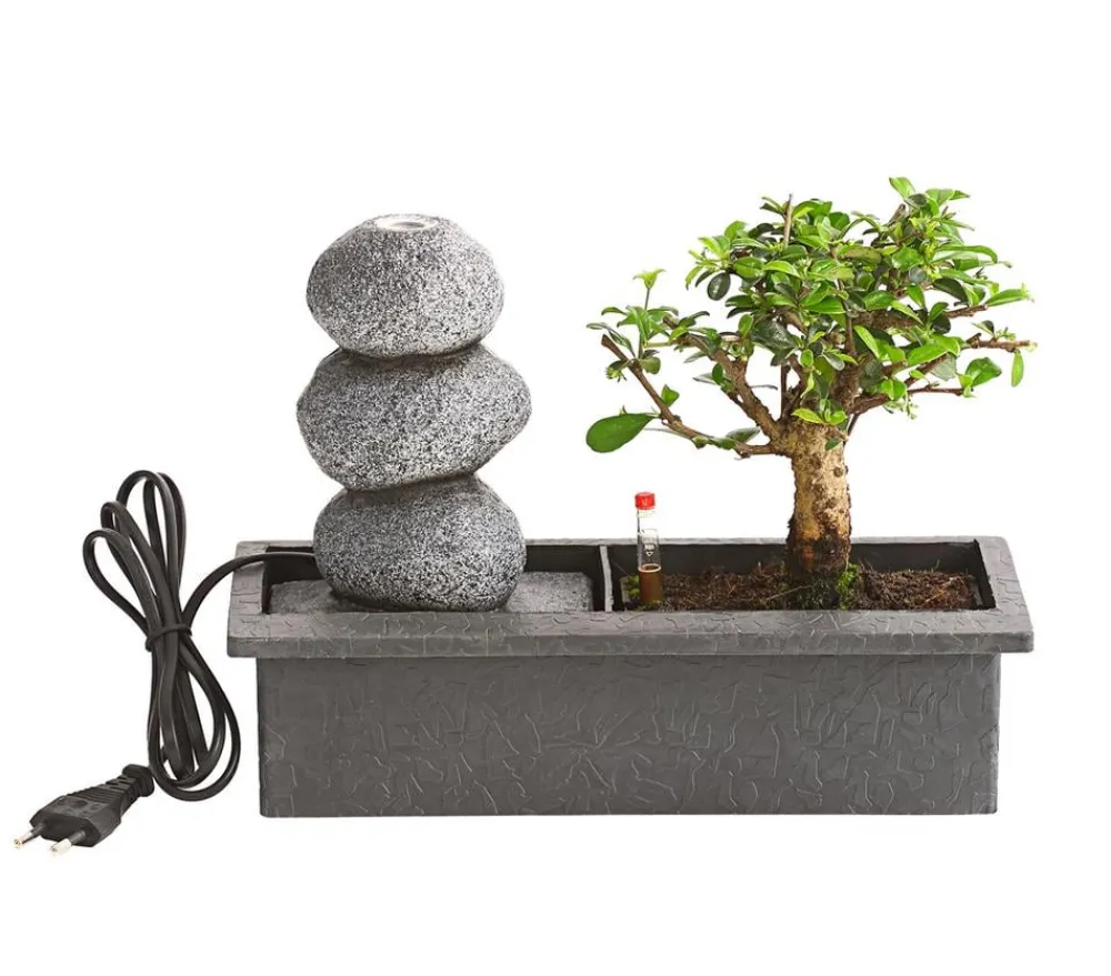 Dehner Bonsai - Bonsai, mit Brunnen